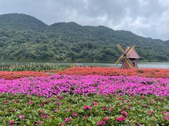 -广州市石门国家森林公园