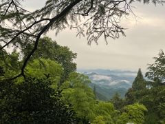 -莫干山风景区