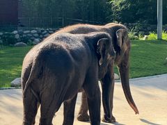 -北京野生动物园