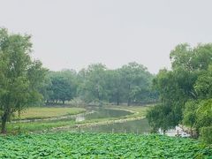 -北京麋鹿生态实验中心