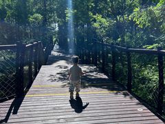 -黄海国家森林公园