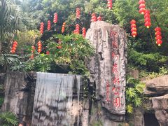 -广州市流溪河国家森林公园