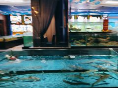 -都市阳光海鲜城(青山湖店)