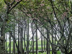 -苏州吴中太湖旅游区