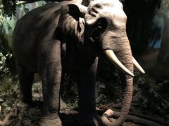 -嘉定博物馆