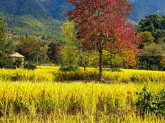 -塔川景区