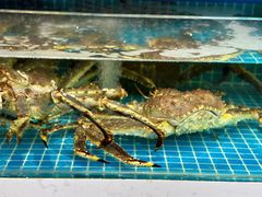 -本达人海鲜烧烤·朝鲜族风味(发展店)