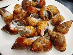 -森波拉火山温泉