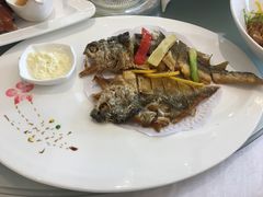 -骏莱海鲜鱼港(五角场店)
