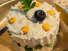 -野草莓自由市场