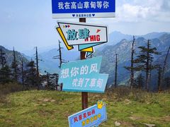 -朱雀国家森林公园