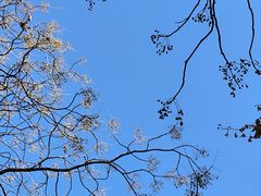 -郑和公园