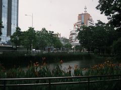 -金砂公园