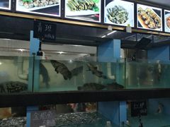 -莲花公园煎蟹(总店)