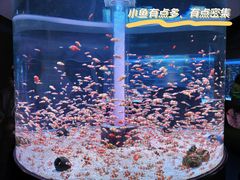 -海合安成都极地海洋公园