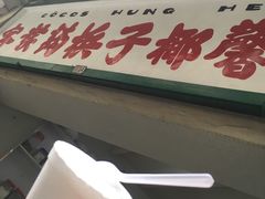 -洪馨椰子