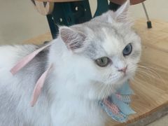 -共舞时光猫咖·狗咖(新街口店)