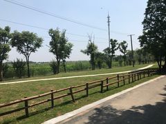 -同里国家湿地公园