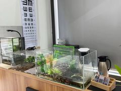 -老马眼镜店