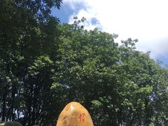 -广州市帽峰山景区