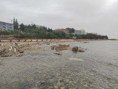 -养马岛旅游度假区