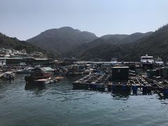 -南丫岛