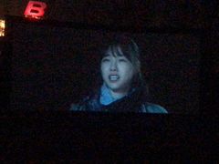-枫花园汽车电影院(朝阳公园店)
