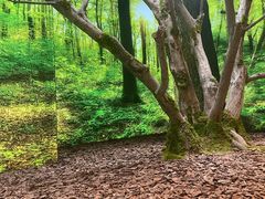 -极简口腔(总院)