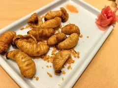 -了能菜·传统特色粤菜·虫宴