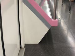 -范湖(地铁站)