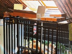 -后院儿·精酿·塔罗Happy Bar