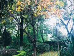 -月牙潭公园