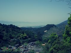 -杨家堂村