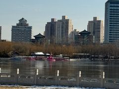 -莲花池公园