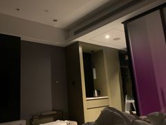 -南京禄口机场雅高铂尔曼大酒店