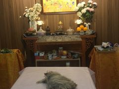 -翡翠森林宠物火化殡葬(通州店)