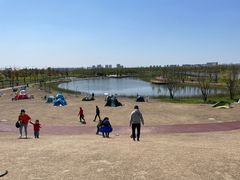 -春花秋色城市公园