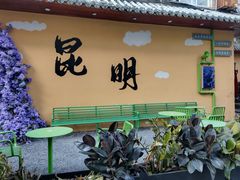 -翠湖公园