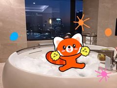 -广州白天鹅宾馆