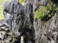 -千岛湖石林
