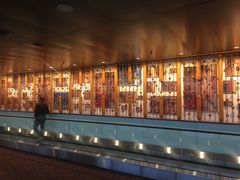 -贾特拉帕蒂·希瓦吉国际机场