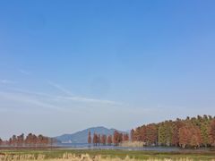 -四明湖