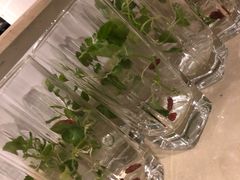 -辰茂皇廷酒店瑞香阁中餐厅
