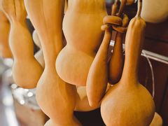 -中环花鸟鱼虫市场