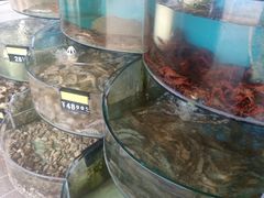 -沿海渔家院海鲜烧烤·东北菜(东戴河店)