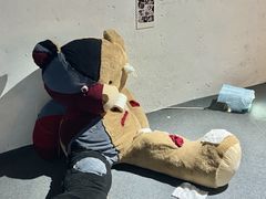 -金茂览秀城