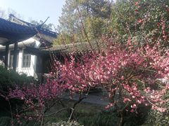 -杭州黄龙洞