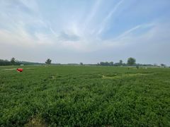 -汉长安城未央宫国家考古遗址公园