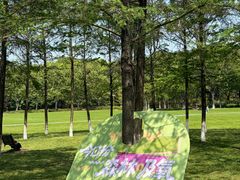 -宜兴龙背山森林公园