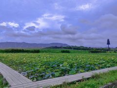 -光明小镇欢乐田园